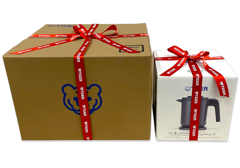 Conceptual image of ribbon-wrapped package (red)