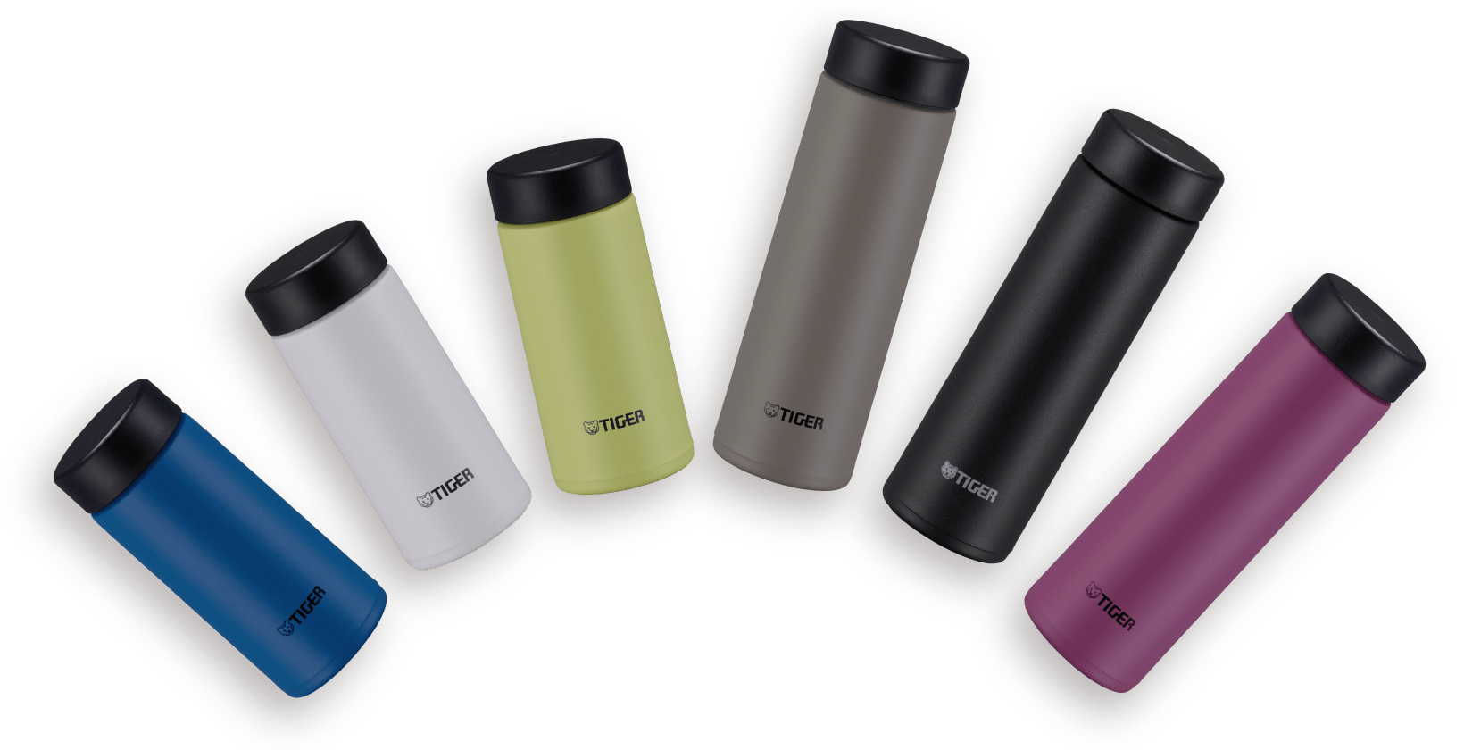 Vacuum Insulated Bottles