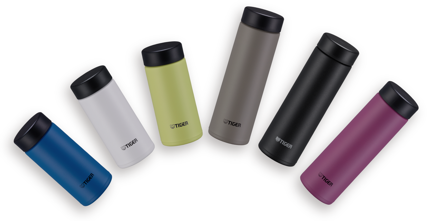 Vacuum Insulated Bottle