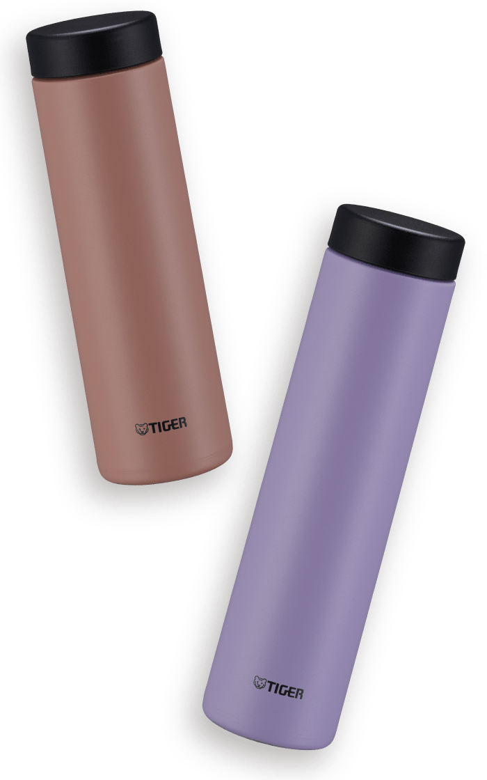 Vacuum Insulated Bottle