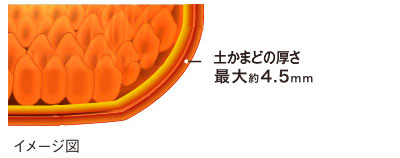 表面6層コート仕上げ 表面6層コート仕上げ