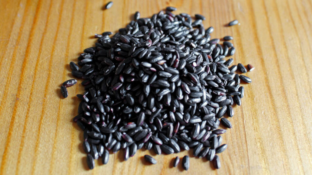 BLACK RICE